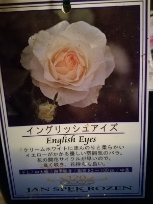 タグ1.jpg