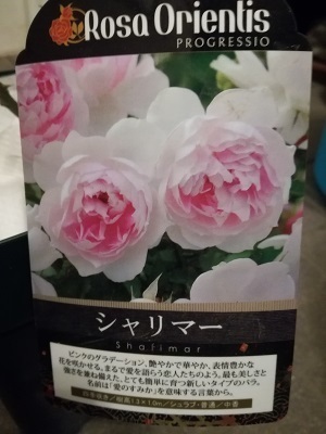 タグ2.jpg