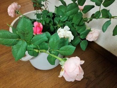 切り花1.jpg