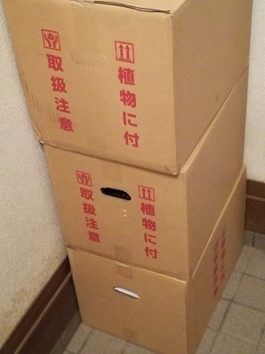 培養土1.jpg