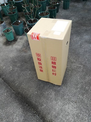 箱1.jpg