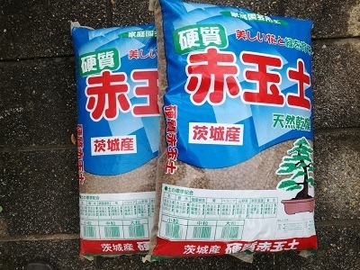 赤玉土.jpg